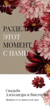 Бархатные далии